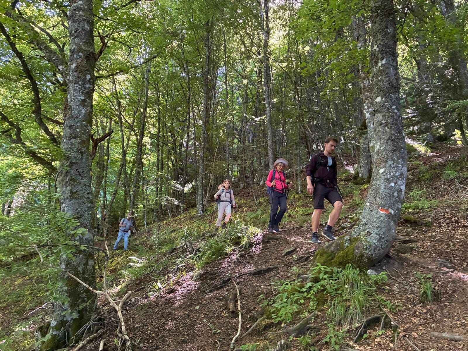 Sortie accompagnée dans la vallée de Chaudefour, photo 2