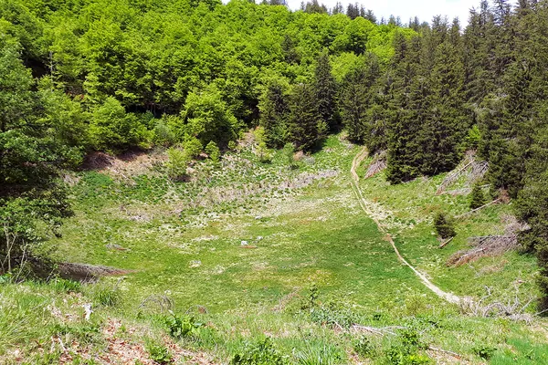 Montchal, Monts Dore / Sancy